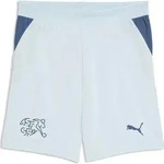 Puma SFV Shorts Replica Jr sea glass-dark indigo (02) 128