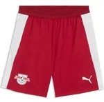 Puma RBL Training Shorts w Pockets dark crimson-puma white (06) S