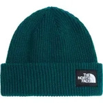 The North Face Salty Lined Beanie pacific teal (N4J) OS
