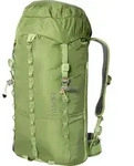 Exped Mountain Pro 40 mossgreen M