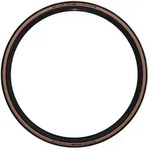 Schwalbe Pro One Evolution Line V-guard Super Race schwarz/transparent 34-622