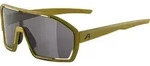 Alpina Bonfire olive matt schwarz (72) one size