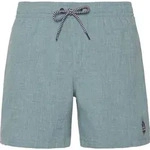 Protest Davey Beachshort arcticgreen (486) M