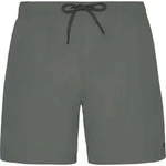 Protest Faster Beachshort grey green (650) XXL