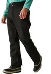Dare2b Achieve II Pant black (800) XL Short
