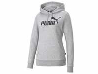 Puma Essentials Logo Hoodie FL light gray heather (04) M