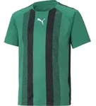 Puma Teamliga Striped Jersey Jr pepper green-puma black-puma white (05) 152