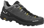 Salewa ALP Trainer 2 GTX M onyx/black (0876) 8,5