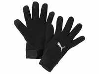 Puma Teamliga 21 Winter Gloves puma black (01) L/XL
