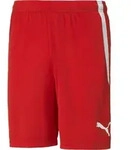 Puma Teamliga Shorts puma red-puma white (01) S