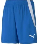 Puma Teamliga Shorts Jr electric blue lemonade-puma white (02) 116