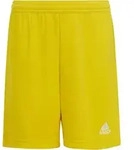 adidas ENTRADA22 Shorts Youth team yellow (ADF7) 140