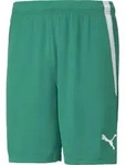 Puma Teamliga Shorts pepper green-puma white (05) S