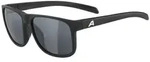Alpina Nacan III black matt mirror black (33) one size
