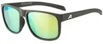 Alpina Nacan III coffee-grey matt mirror yellow (22) one size