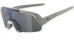 Alpina Rocket Youth cool grey matt mirror black (21) one size
