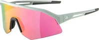Alpina A8733521, Alpina Sonic HR Q Sportbrille grau