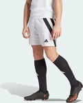 adidas performance IK5761, adidas performance adidas Fortore 23 Shorts Herren -