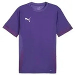 Puma teamGOAL Trikot Herren - lila - S
