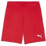 Puma teamGOAL Shorts Herren - rot - S