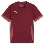 Puma teamGOAL Matchday Trikot Kinder - bordeaux-116