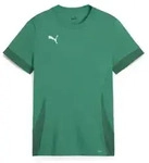 Puma teamGOAL Matchday Trikot Kinder - gr&uuml;n/wei&szlig; - 116