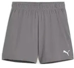 Puma teamGOAL Shorts Damen - grau-XS