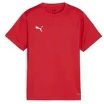 Puma teamGOAL Trainingsshirt Kinder - rot-116