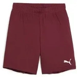 Puma teamGOAL Shorts Kinder - bordeaux -152