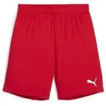 Puma teamGOAL Shorts Kinder - rot-140