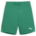 Puma teamGOAL Shorts Kinder - gr&uuml;n-140