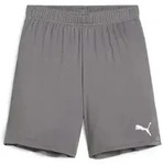 Puma teamGOAL Shorts Kinder - grau-128