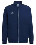 adidas Entrada 22 Pr&auml;sentationsjacke Herren - navy-XS