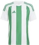 adidas Striped 24 Trikot Kinder -gr&uuml;n/wei&szlig; - 152
