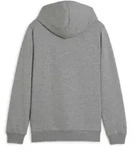 Puma teamGOAL Casuals Hoodie Kinder - grau - 152