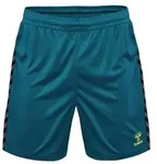 hummel Hmlauthentic Pl Shorts Herren - blue coral - S