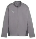 Puma teamGOAL Trainingsjacke Kinder - grau-116