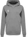 hummel Hmlauthentic Pl Hoodie Kinder - grey melange - 116