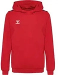 hummel Hmlauthentic Pl Hoodie Kinder - true red - 116