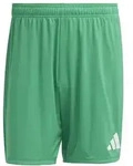 adidas Entrada 26 Shorts Herren - team green/white - 3XL