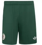 adidas Algerien 26 Ausw&auml;rts kurze Hose Herren - drkgrn - L