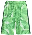 adidas Tiro 26 Torwartshorts Kinder - gr&uuml;n/wei&szlig; - 176