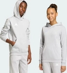 adidas performance JZ6562, adidas performance adidas Entrada 26 Hoodie Kinder - team