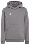 adidas Entrada 22 Hoodie Kinder - grau 116