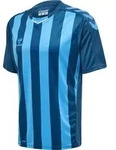 hummel Hmlcore Xk Striped Trikot S/S Herren - blue coral/blue dan
