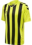hummel Hmlcore Xk Striped Trikot S/S Herren - lime popsicle/black