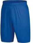Jako Sporthose Palermo 2.0 - sportroyal - XL