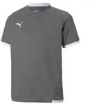 Puma teamLIGA Trikot Kinder - grau/wei&szlig;- 116