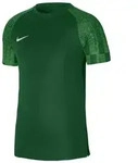 Nike Academy Trikot Kinder - gr&uuml;n-158-170