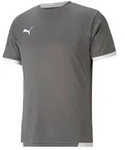 Puma teamLIGA Trikot Herren - grau - XL